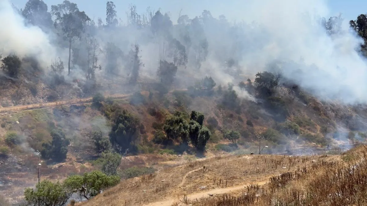 Evacuación en sector 18 de Septiembre por incendio forestal en Parque Coll