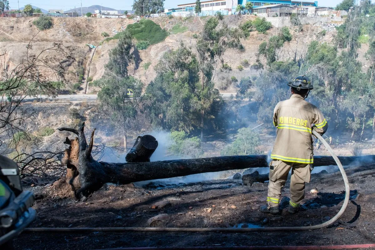 Incendio en La Serena consume 4 hectáreas del Parque Gabriel Coll