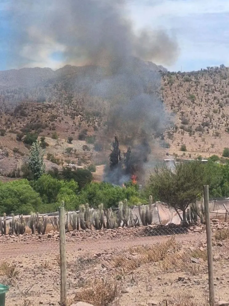 Declaran Alerta Amarilla en Combarbalá por incendio forestal en sector San Marcos
