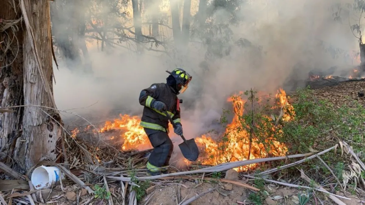 Alcaldes del Limarí insisten en aeronave fija contra incendios Alcaldes del Limarí insisten en aeronave fija contra incendios