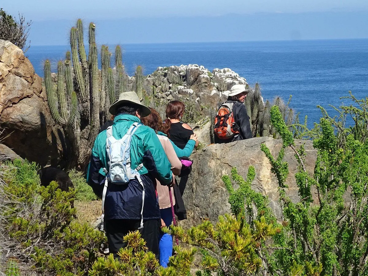 Experiencias turísticas innovadoras en la región
