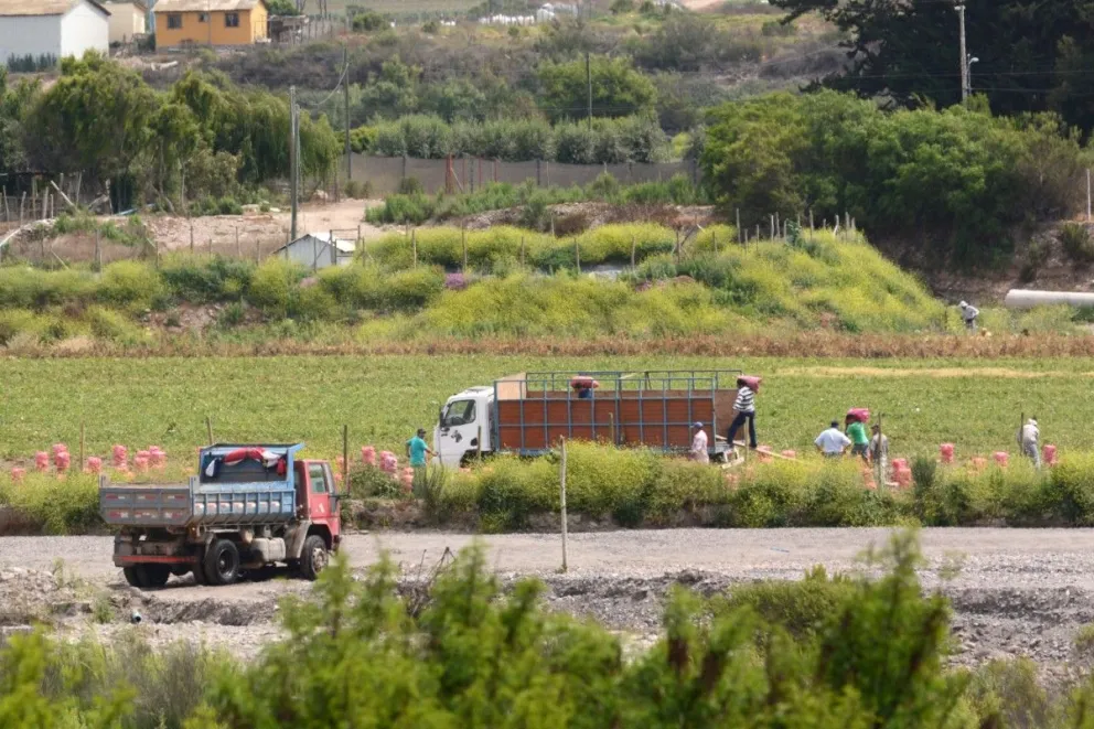Visa temporal para el agro divide al mundo rural en la Región de Coquimbo