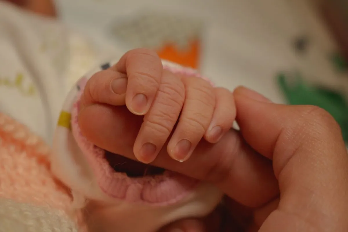 Hospital de La Serena se prepara para medicina reproductiva de alta complejidad