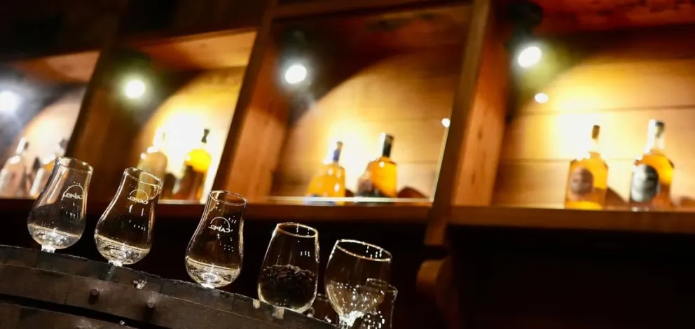 CAPEL anuncia a Claudio Escobar como nuevo gerente general