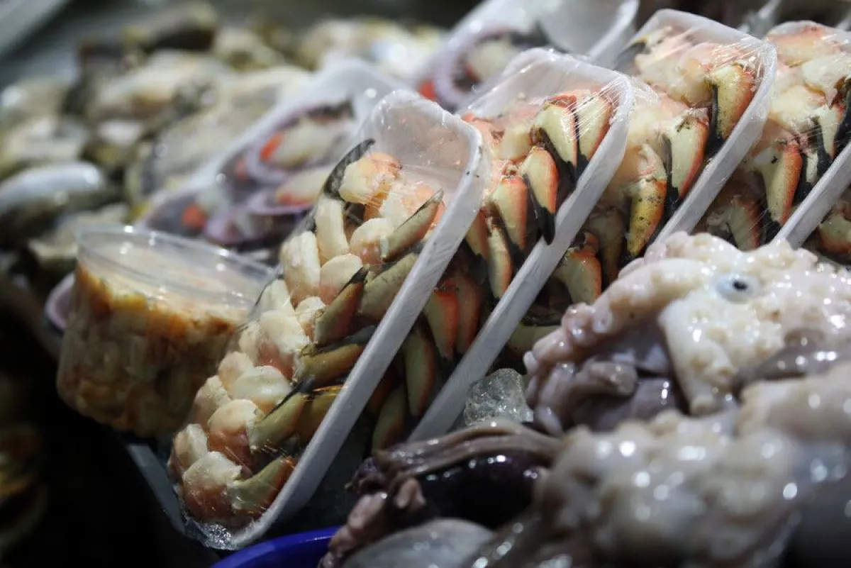 Marea Roja en Tongoy: qué consumir tras cierre sanitario