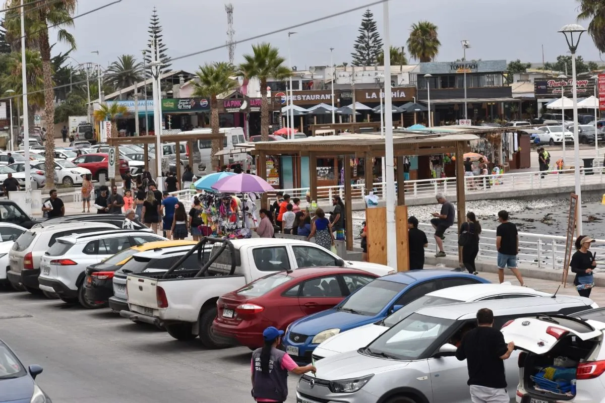 Tongoy libre de marea roja: informes recientes confirman