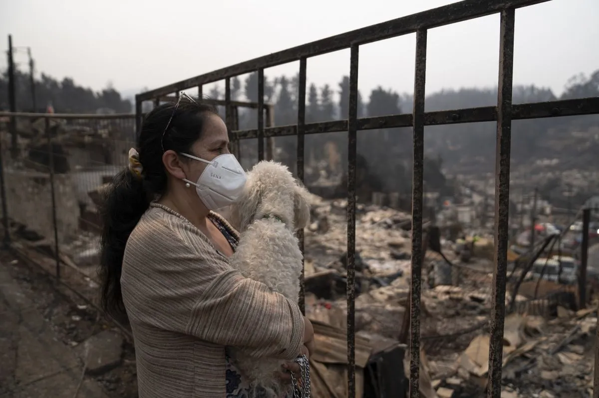 Recursos desplegados por municipios locales: shows y personal en terreno