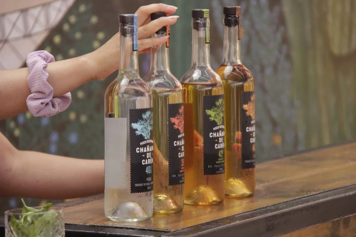 Fiesta del Pisco, Queso y Lapislázuli en Monte Patria Fiesta del Pisco, Queso y Lapislázuli en Monte Patria