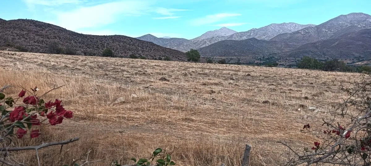 Escasez de agua afecta a agricultores del Limarí