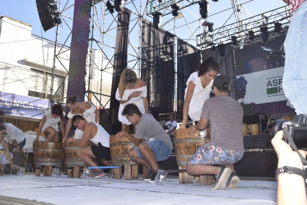 Fiesta de la Vendimia Ovalle 2026: Buscan a la Reina