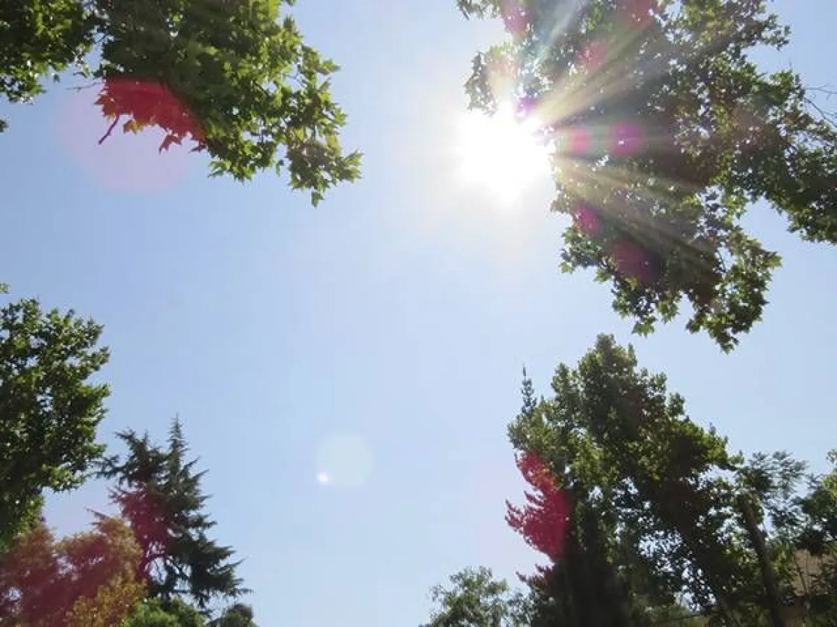 Viernes con pronóstico de 30°C en la región Viernes con pronóstico de 30°C en la región
