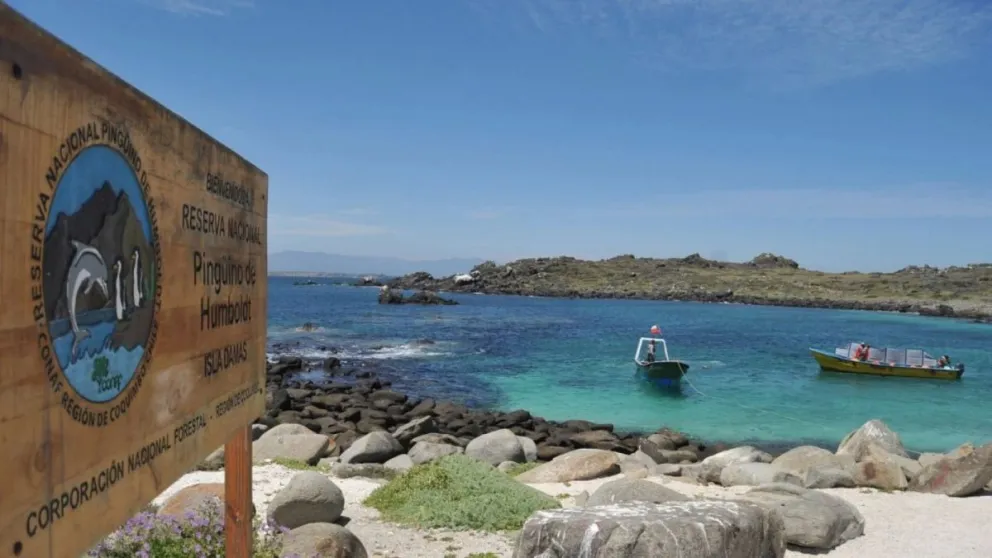 Comunidades de La Higuera denuncian exclusiones en Consulta Indígena por Plan de Manejo del Archipiélago de Humboldt