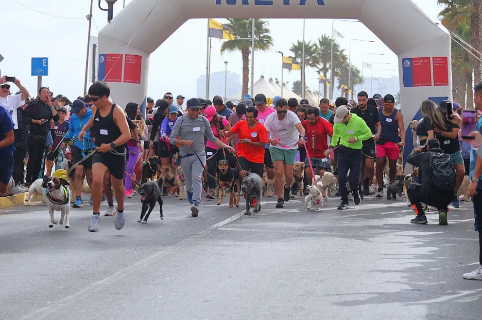 Exitosa convocatoria: más de 1.500 personas participaron con sus mascotas en Perruning Chile 2026