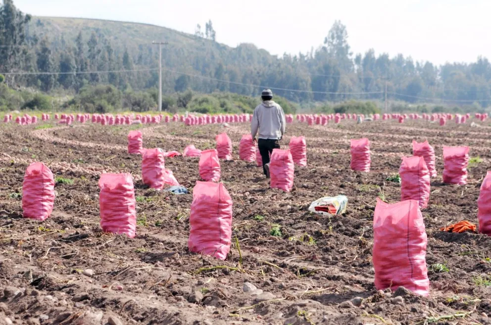 Impulsan prórroga del Decreto de Emergencia Agrícola por déficit hídrico en la región