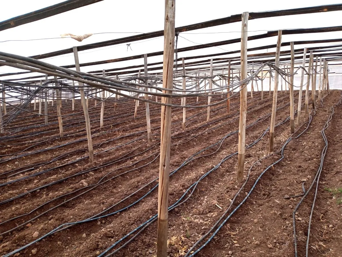 Avanzar en adaptación hídrica ante pérdida de tierras cultivables