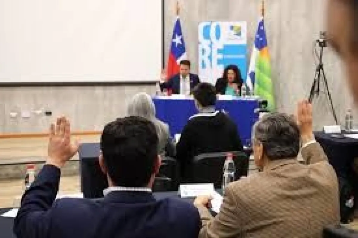 Falta de compromiso en comisiones del Consejo Regional Falta de compromiso en comisiones del Consejo Regional