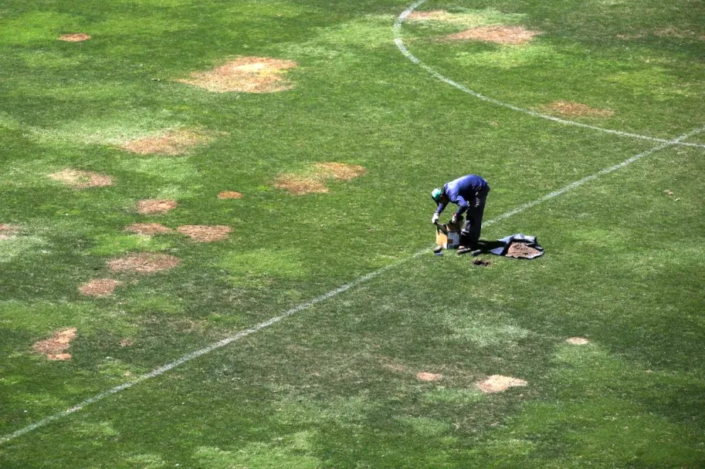 Así luce la cancha de césped natural del Estadio La Portada. Este viernes se inicia la resiembra.