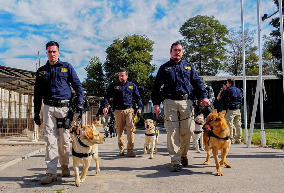 Buscan agentes policiales para la PDI: Revisa los requisitos para postular