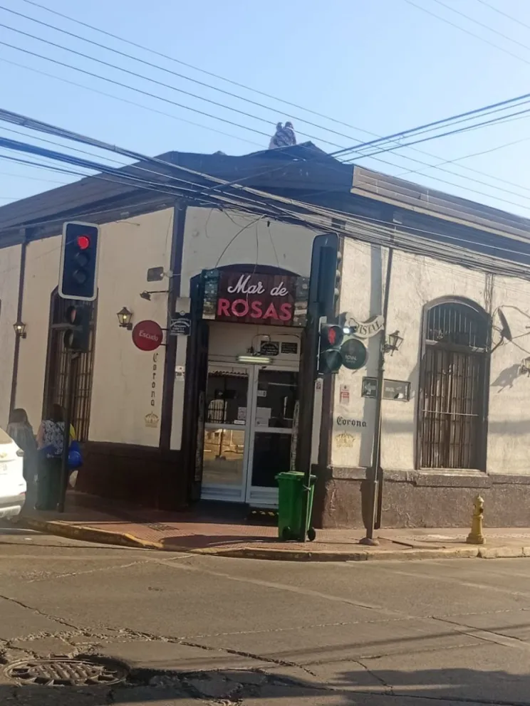 Local ya actualizó su nombre de presentación.