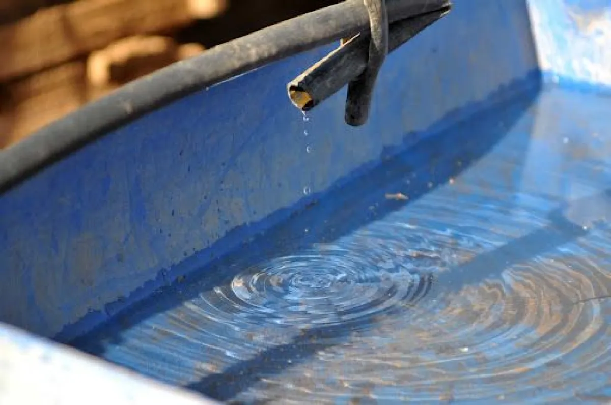 Claves para cuidar el agua en Coquimbo Claves para cuidar el agua en Coquimbo