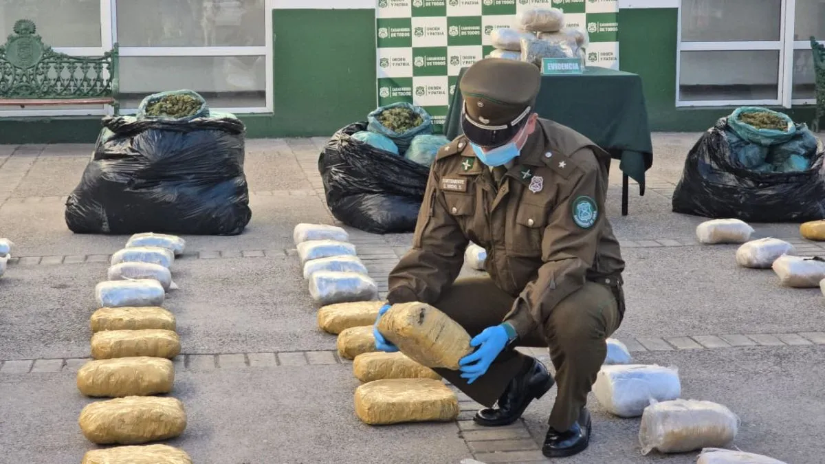 Carabineros detiene a 6 personas e incauta más de 216 kilos de marihuana