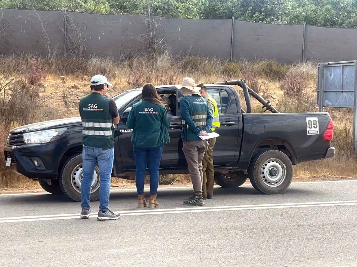 Formalizan a trabajador del SAG por agredir a carabinero