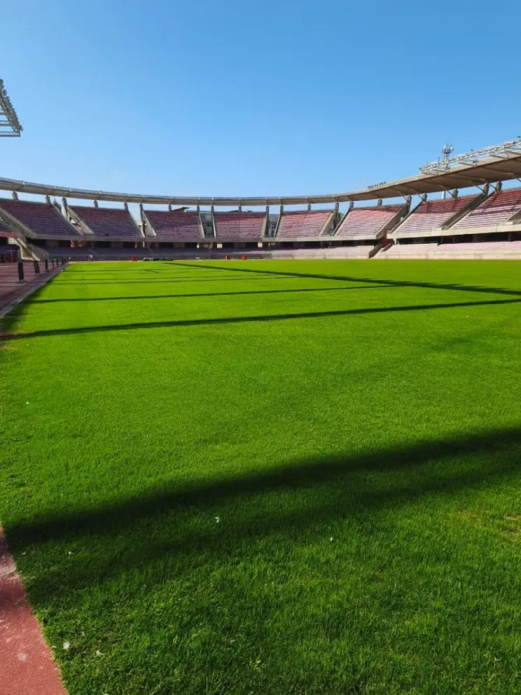 Se ve un pasto uniforme en La Portada, césped que espera este viernes su primer corte, de unos 9 o 10 que se tienen contemplados. (Foto: Municipalidad de La Serena)