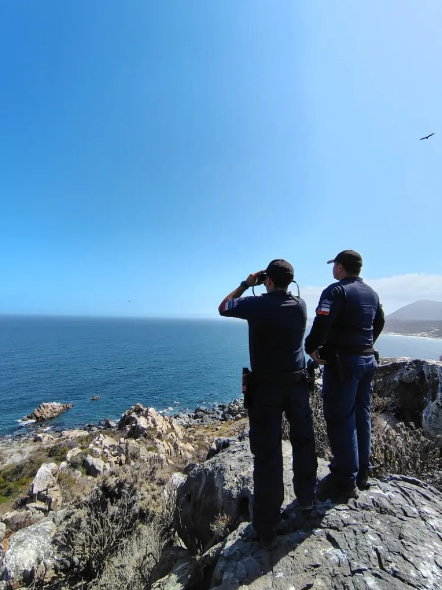 Embarcación sin permisos ni zarpe autorizado: Los errores tras el naufragio de “Catalina II”