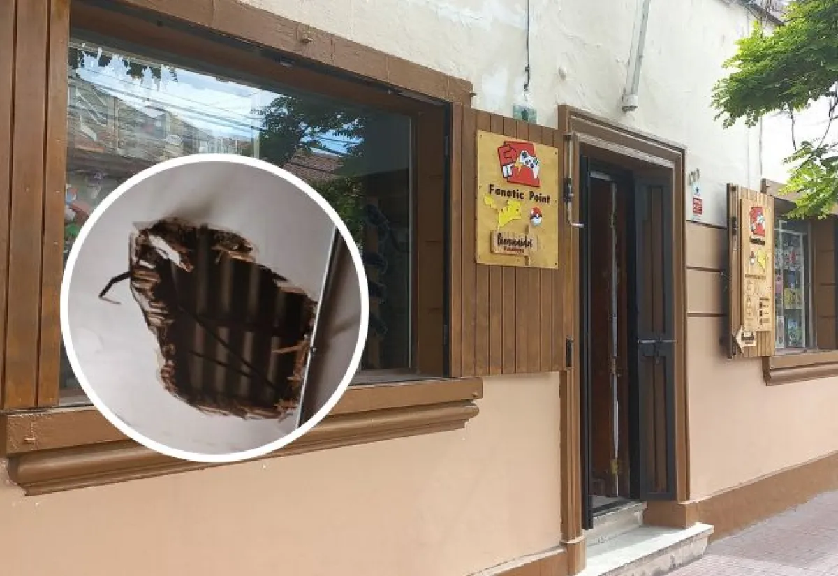 Delincuentes aprovechan corte de luz y sustraen $13 millones desde juguetería en La Serena