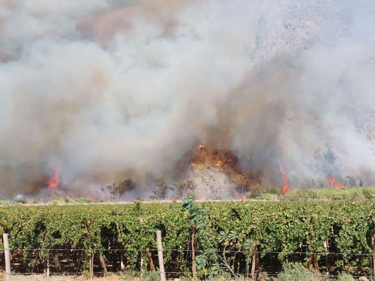 Fuego cerca de viviendas: Alerta Roja en Vicuña por incendio en Rivadavia