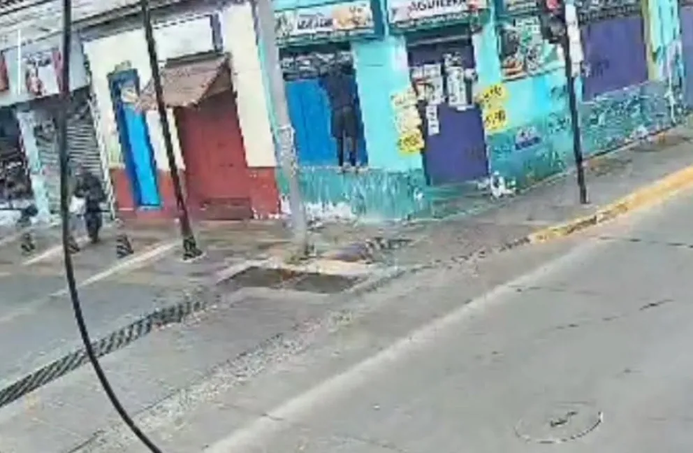 Extracto de video de seguridad que muestra a delincuente sustrayendo especies. 