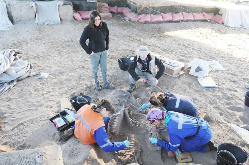 El hallazgo arqueológico de El Olivar es uno de los más relevantes de Latinoamérica. (Foto: El Día)