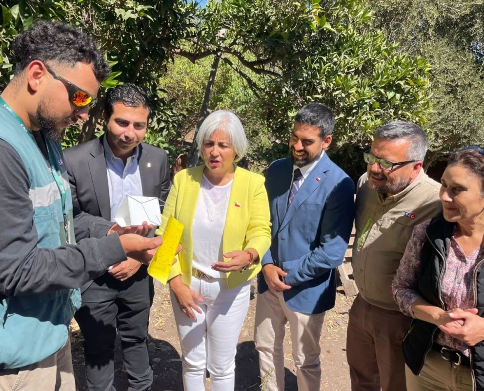 Autoridades y agricultores participaron del retiro simbólico de trampas en El Espino, marcando el fin de la campaña que permitió erradicar la mosca de la fruta en Ovalle.