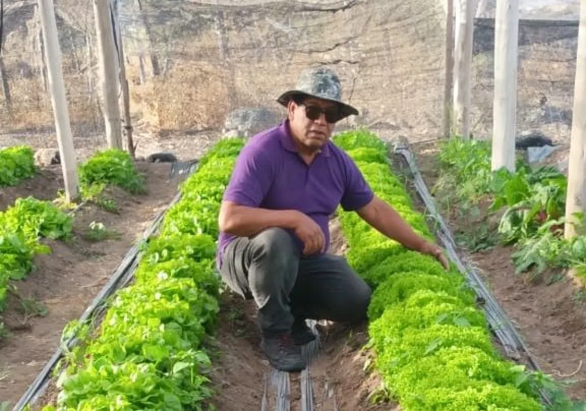 Agricultor de Monte Patria enfrenta sequía y heladas