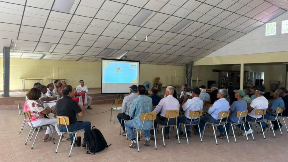 De cara a 2026, los pisqueros proyectan consolidar su presencia internacional y avanzar en eficiencia productiva.  