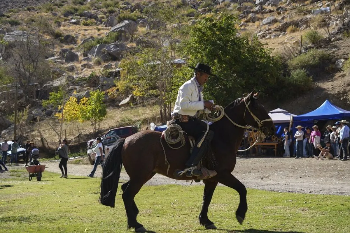 Primera Fiesta del Criancero en Carrizal