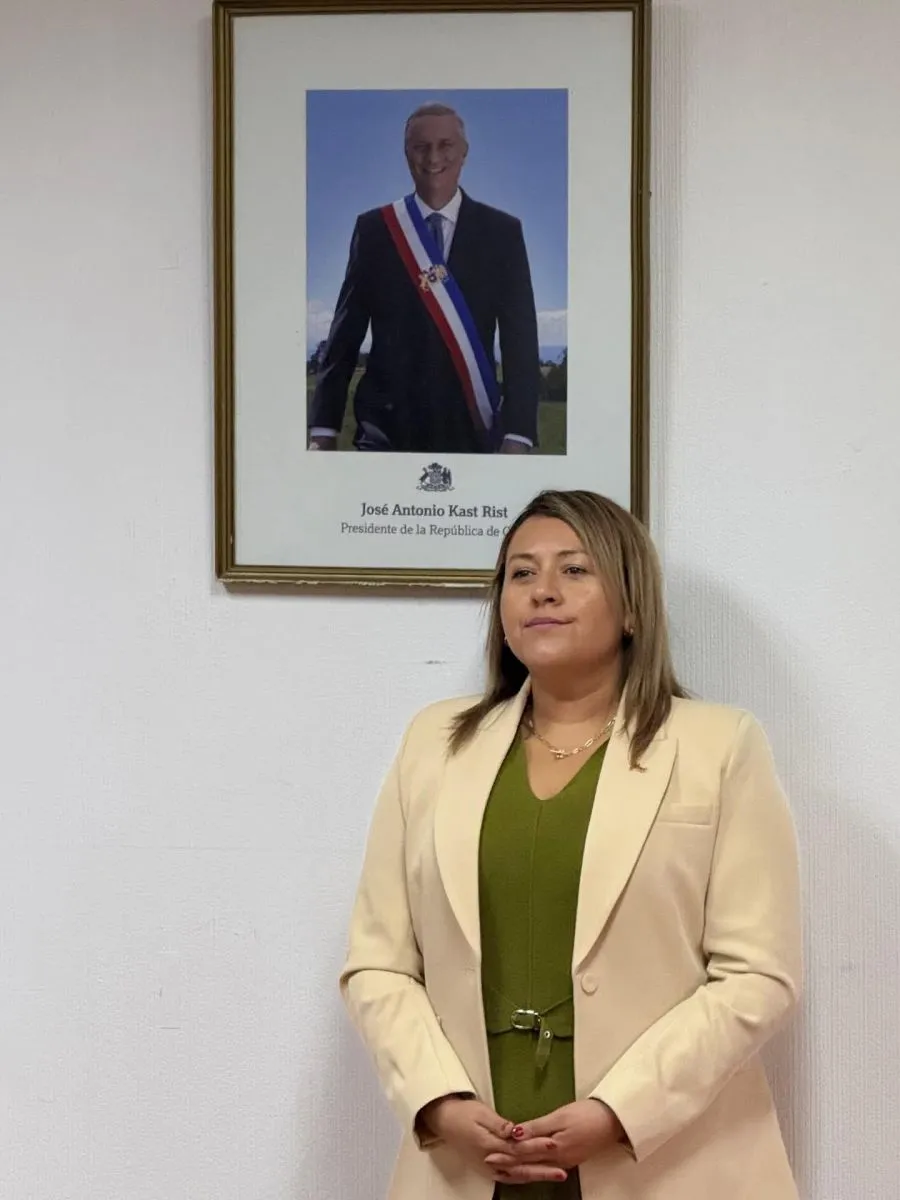 Salida de seremi del Trabajo por requisitos académicos