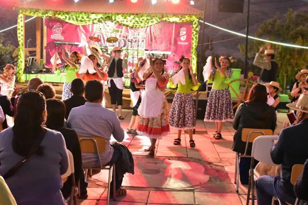 Vendimia de Río Hurtado reunirá a productores, artesanos y artistas locales