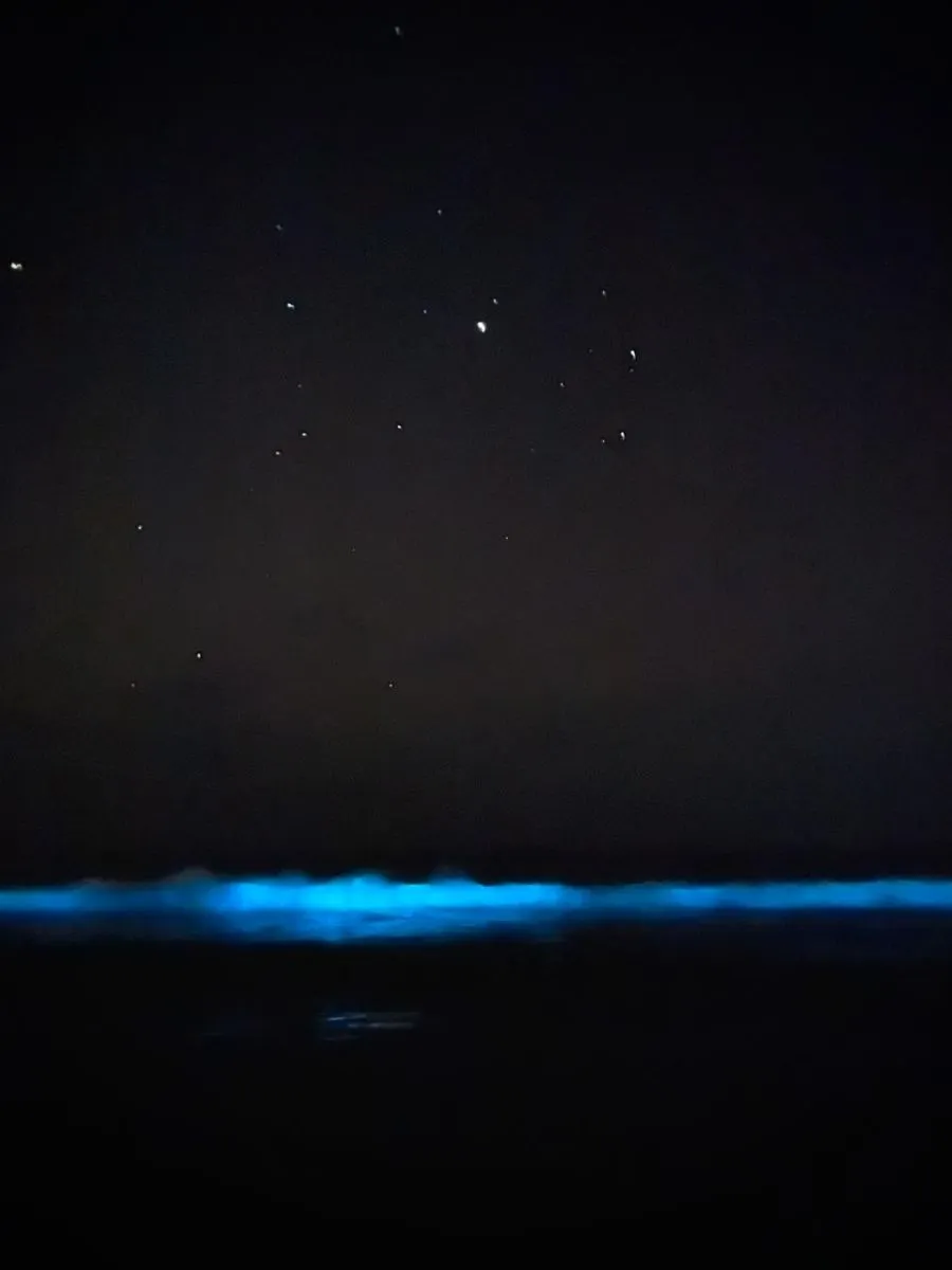 Fenómeno de la costa azul en Guanaqueros
