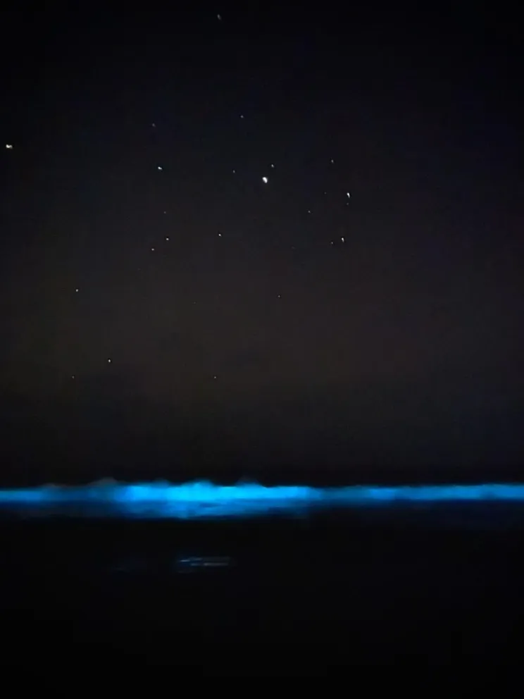 “Costa azul” en Guanaqueros: la explicación científica detrás del fenómeno