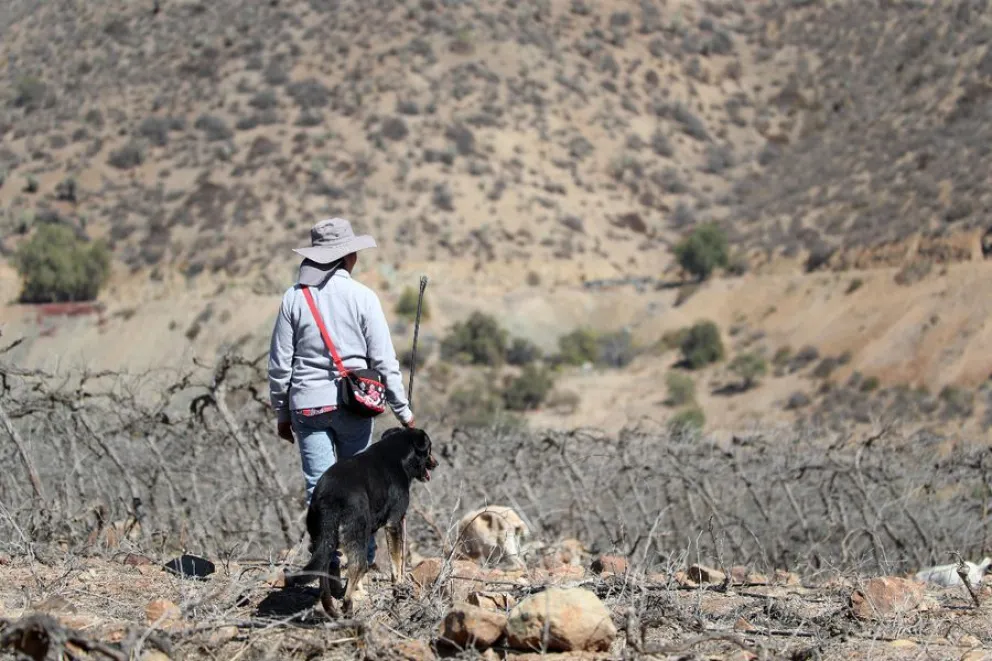 La escasez hídrica y la disminución de la actividad agrícola comienzan a impactar la permanencia de familias en sectores rurales del Limarí. (Foto: El Ovallino)