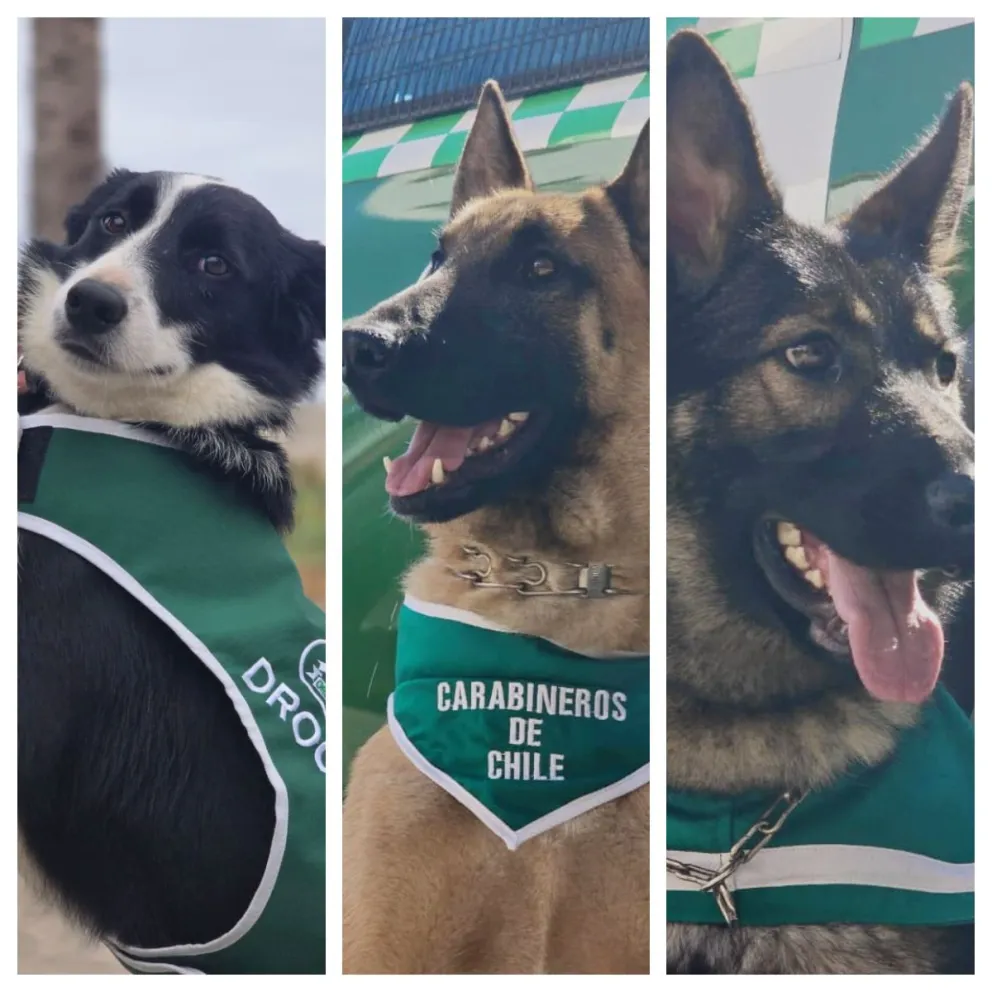 Créditos: Carabineros de Chile 