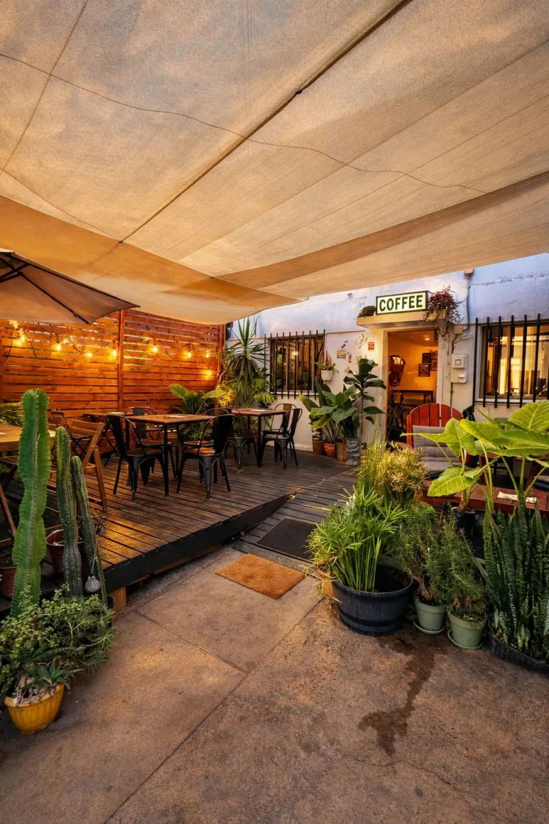 Del café cotidiano a la experiencia: el auge del café de especialidad en Ovalle