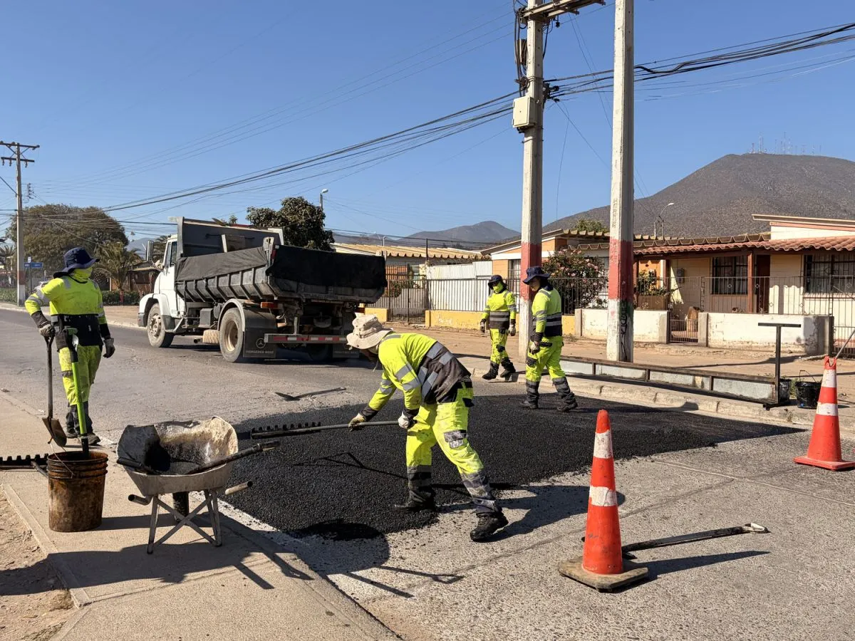 Instalan 26 nuevos lomos de toro en La Serena