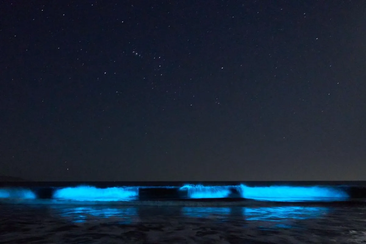Costa Azul en Coquimbo atrae visitantes