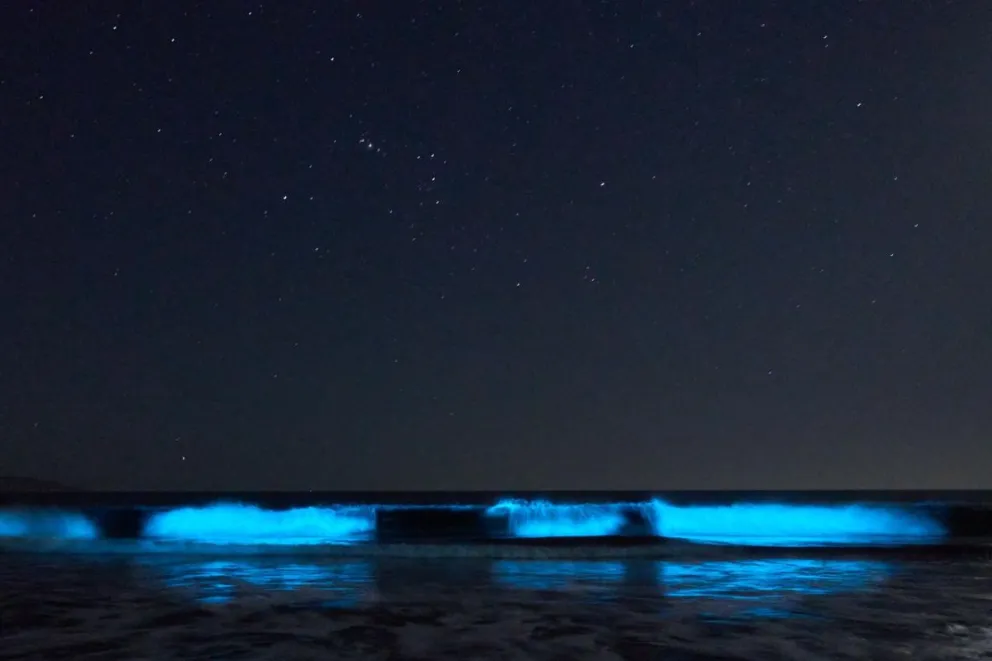 (FOTOS: Rafael Canihuante)