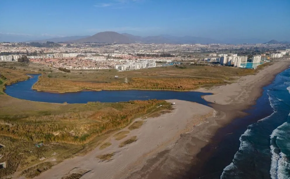 Organizaciones ciudadanas esperan que se pueda avanzar en la declaratoria de Humedal Urbano del río Elqui en La Serena. (Foto: El Día)