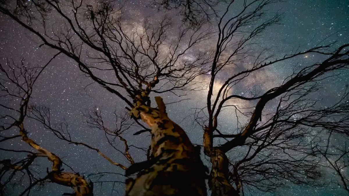 Astroturismo, naturaleza y cultura: Paihuano apuesta por atraer visitantes este fin de semana largo