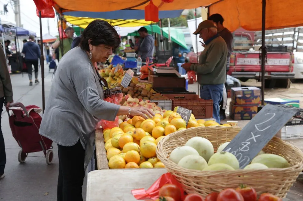 Los feriantes de Coquimbo están preocupados por el aumento de vendedores ilegales, por lo que piden fiscalización y cumplimiento de normas. (Foto: El Día)