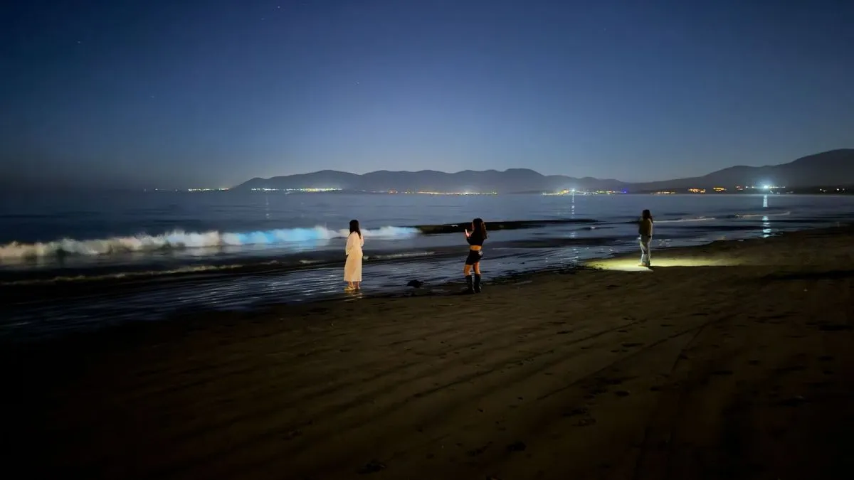 Bioluminiscencia: ¿Volverá la costa azul? Bioluminiscencia: ¿Volverá la costa azul?